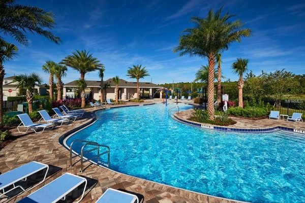 Community pool area at Hilltop in Apopka, FL, featuring a large swimming pool, lounge chairs, palm trees, and a sunny sky, ideal for relaxation and socializing in a new residential neighborhood.