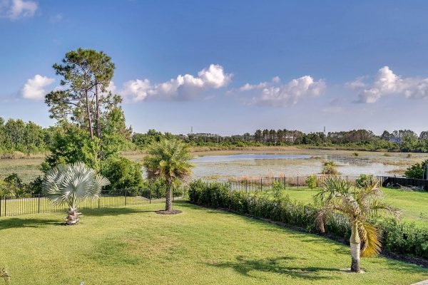 Lakefront view showcasing lush greenery and palm trees in Windermere, Florida, with a serene pond and blue sky, emphasizing spacious outdoor living.