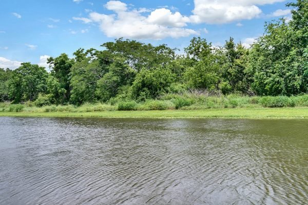 14826-Tullamore-Loop-Winter-Garden-FL-34787-35-Backyard-600x400-2