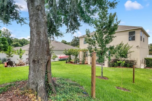 Backyard of a home at 2989 Park Meadow Drive, Apopka, FL, featuring a large green lawn, a mature oak tree, and a private setting with no visible neighbors, ideal for outdoor gatherings and relaxation.