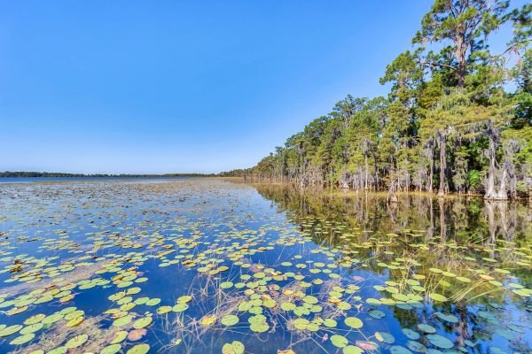 10435-Woodward-Winds-Dr-Orlando-FL-32827-11-600x400-1