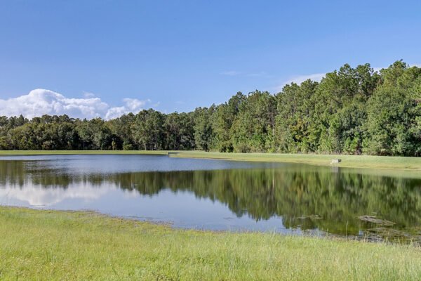 10762-cabbage-tree-loop-orlando-fl-32825-41-2-scaled-600x400