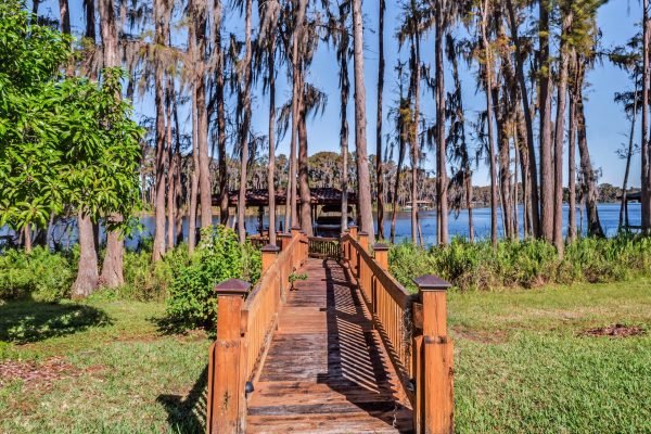 5957-marleon-drive-windermere-fl-34786-83-scaled-600x400-1