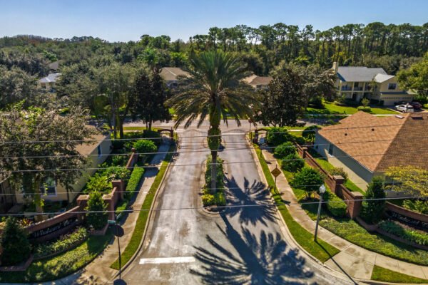 Aerial view of a residential street in Winter Garden, Florida, featuring palm trees and well-maintained homes, showcasing the community's greenery and inviting atmosphere.