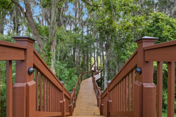 Wooden walkway leading through lush greenery, showcasing a serene path to the lakefront home at 11019 Bridge House Road, Windermere, FL.