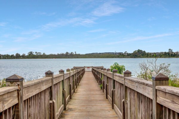 7161-spring-park-drive-winter-garden-fl-34787-36-1-scaled