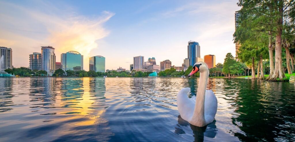 Swan swimming in lake with Downtown Orlando skyline at sunset, reflecting vibrant colors on water, representing the scenic beauty of Orlando's real estate market.