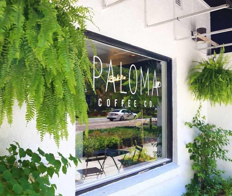 blog, paloma coffee co