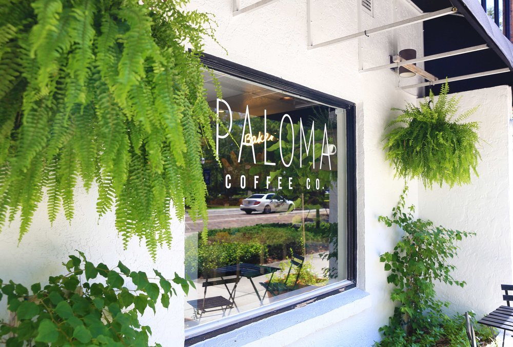 Paloma Coffee Co. storefront with vibrant ferns and greenery, showcasing the brand name and inviting atmosphere in downtown Windermere.