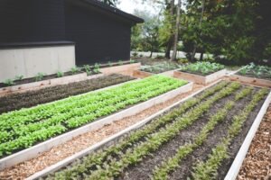 during this most recent meeting, the commissioners dealt with several other initiatives, urban farms winter garden
