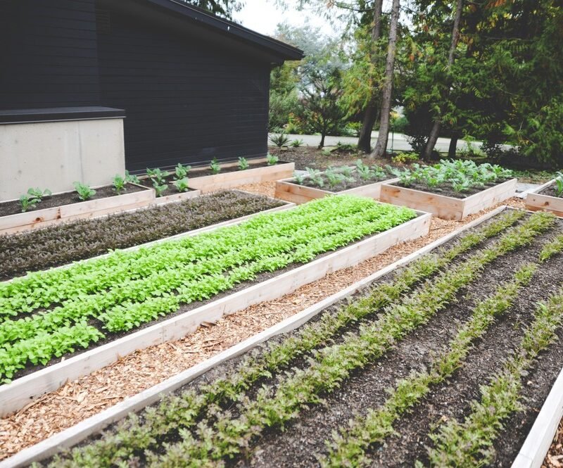 blog, urban farms winter garden