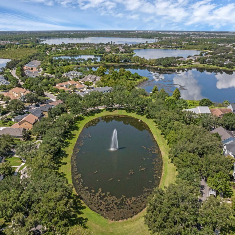 22-web-or-mls-5318 Kumquat Loop-Windermere, FL 34786 Aerial - 15