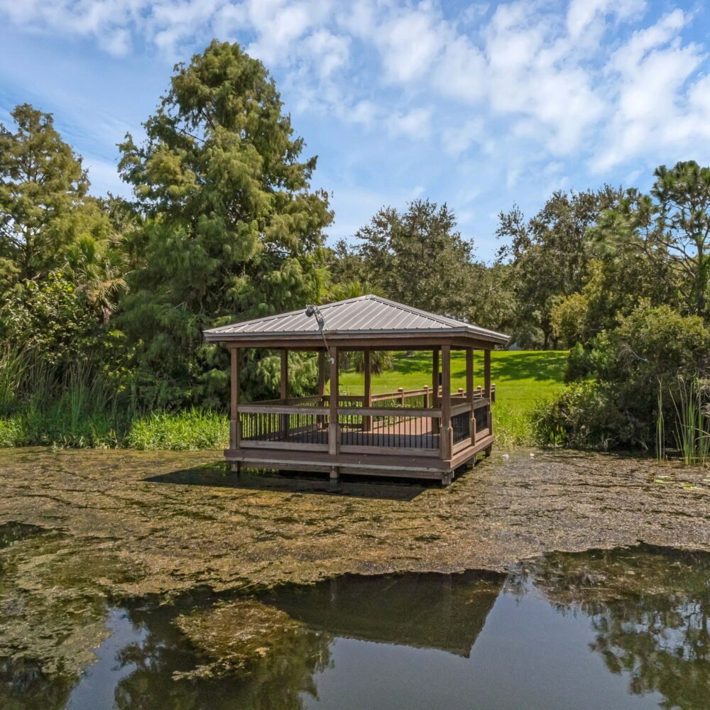 29-web-or-mls-5318 Kumquat Loop-Windermere, FL 34786 Aerial - 22