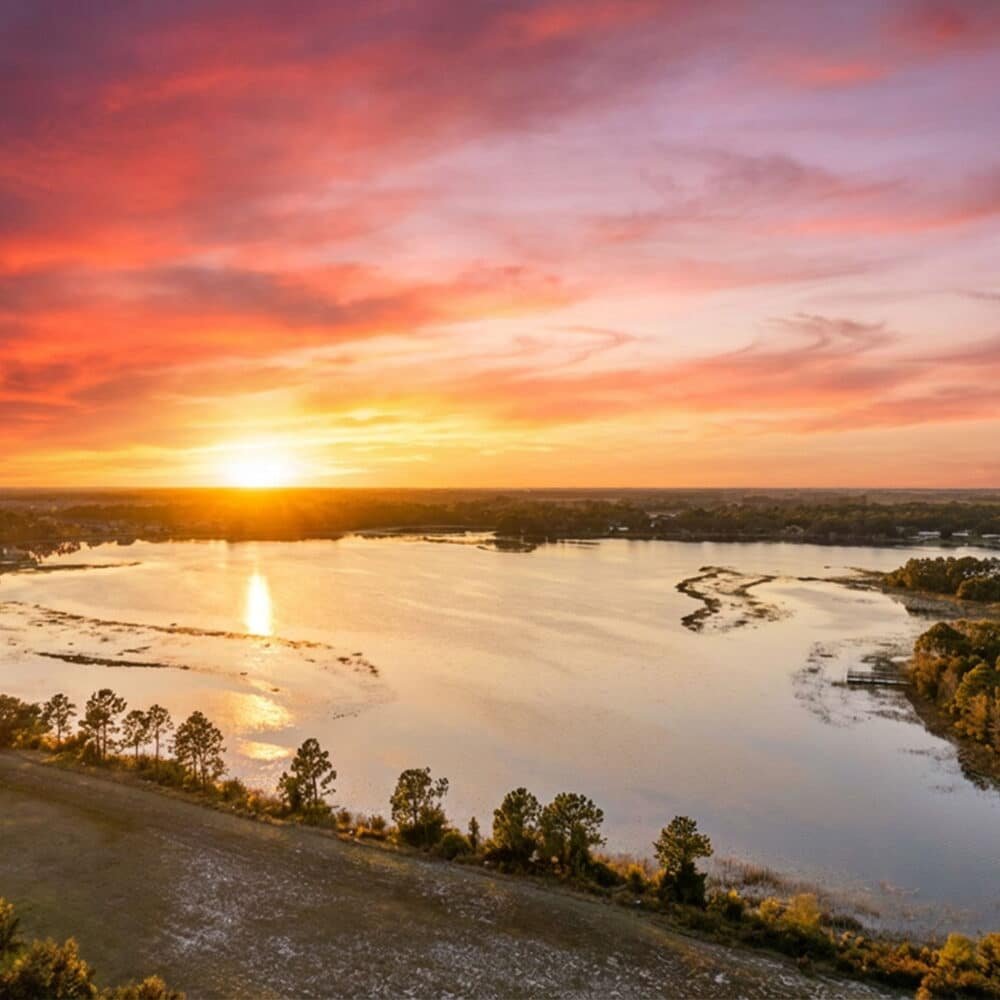 1-web-or-mls-5-web-or-mls-8613_Bayview_Crossing_Dr__Winter_Garden__FL_34787_DJI_20260113175249_0246_D