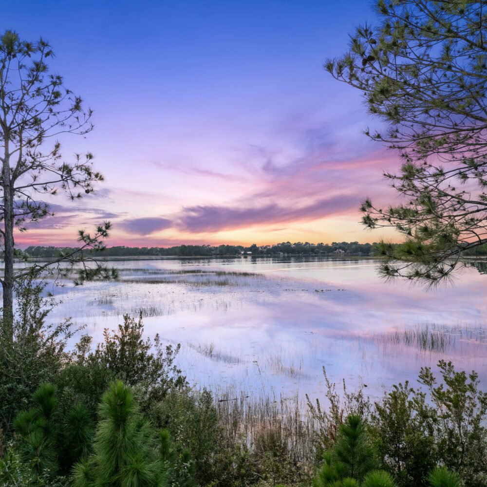 56-web-or-mls-8613_Bayview_Crossing_Dr__Winter_Garden__FL_34787_DJI_20260113175206_0244_D